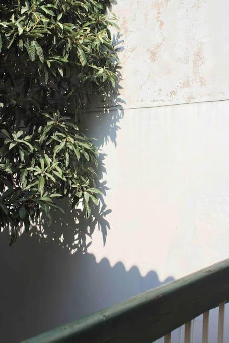 Spacieux Appartement 4 Couchages, Terrasse Privee Narbonne Bagian luar foto