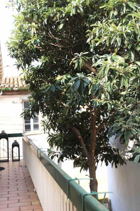 Spacieux Appartement 4 Couchages, Terrasse Privee Narbonne Bagian luar foto